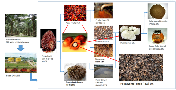 Ggl For Palm Kernel Shells Pks Green Gold Label